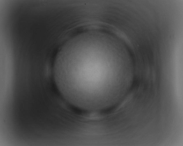 X0000100780173200807031239