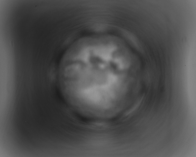 X0000100780175200807031239