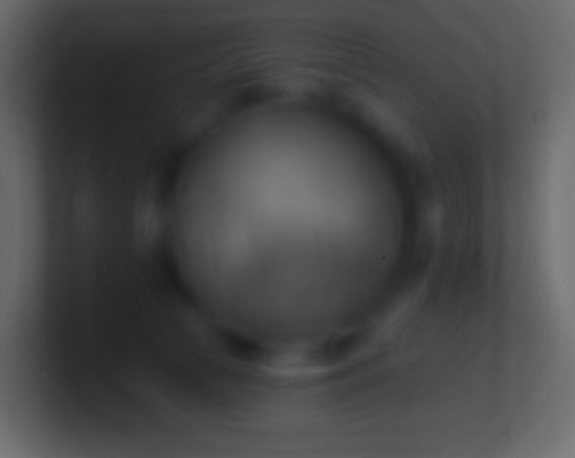 X0000100780177200807031239