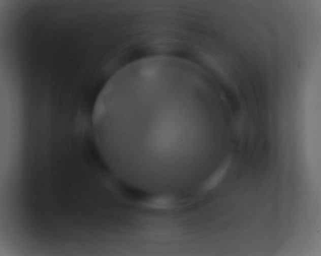 X0000100780178200807031239