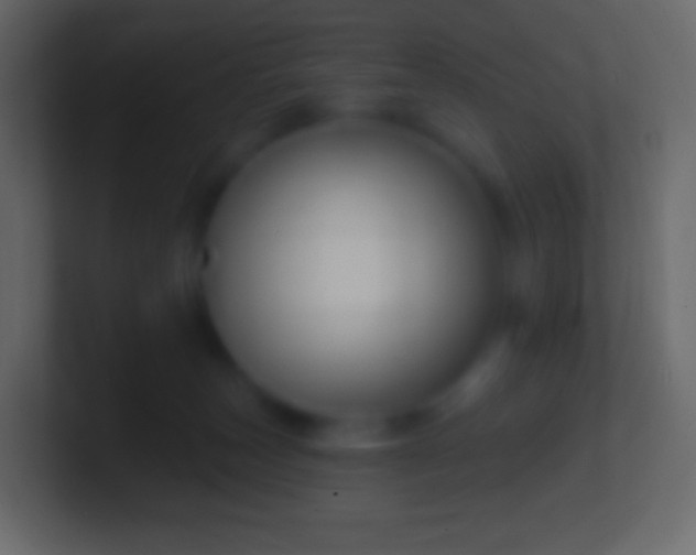 X0000100780179200807031239