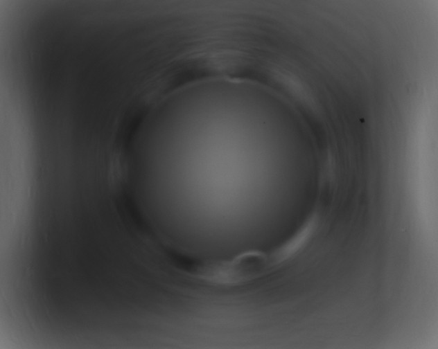 X0000100780182200807031239