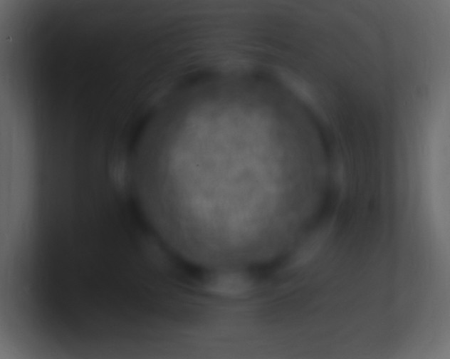 X0000100780185200807031239