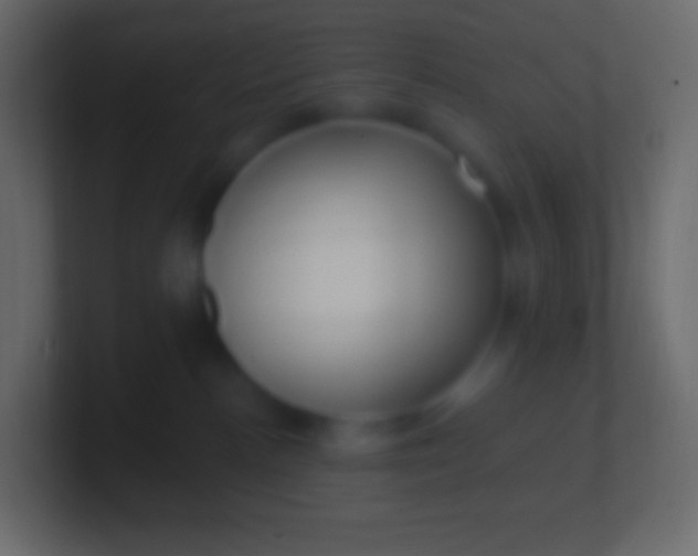 X0000100780188200807031239