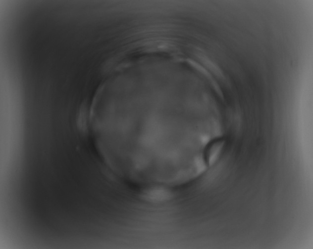 X0000100780189200807031239