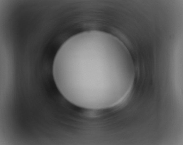 X0000100780190200807031239