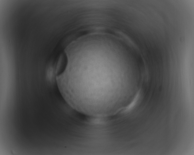 X0000100780191200807031239