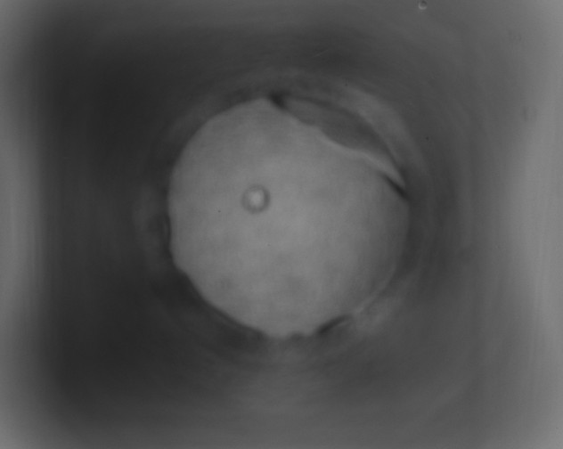 X0000100780192200807031239