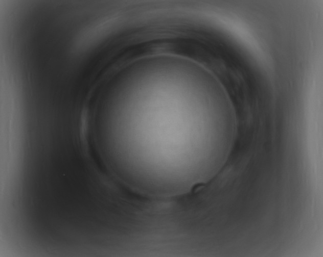 X0000100780194200807031239