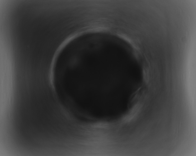 X0000100780196200807031238