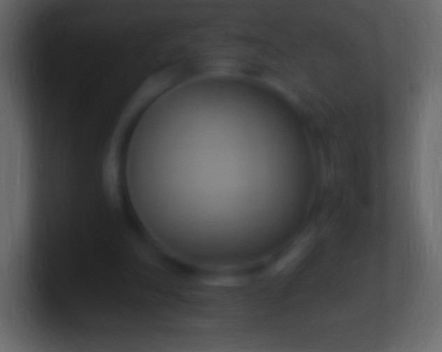 X0000100780198200807031238