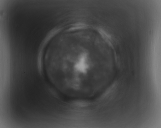 X0000100780199200807031238