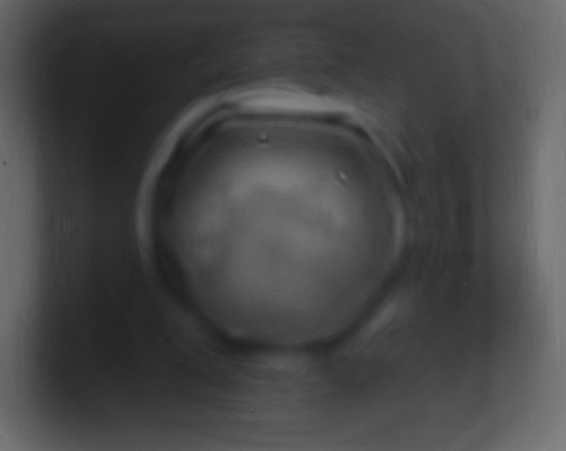 X0000100780200200807031238