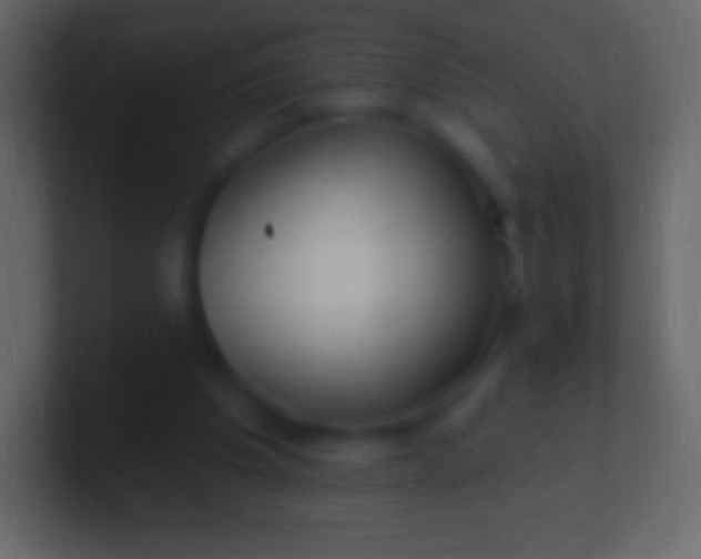 X0000100780201200807031238