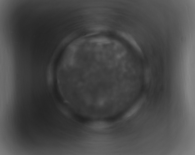 X0000100780203200807031238