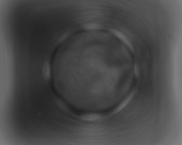 X0000100780205200807031238