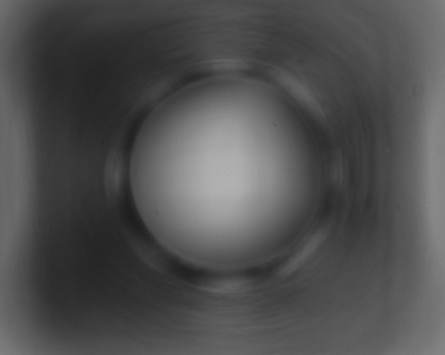 X0000100780206200807031238