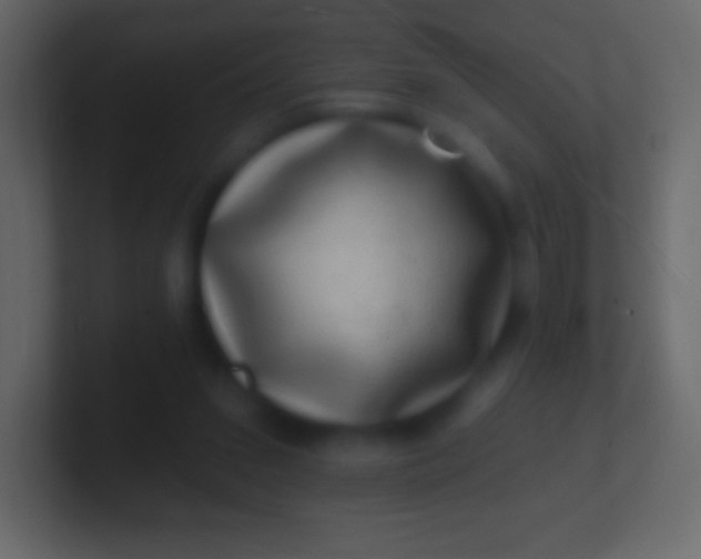 X0000100780207200807031238