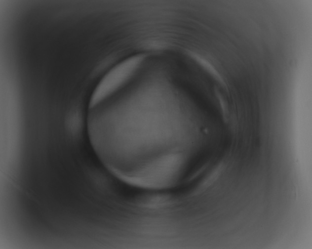 X0000100780208200807031238