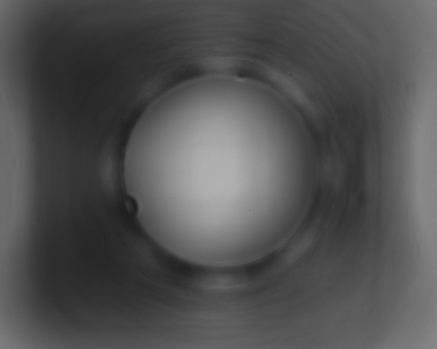 X0000100780209200807031238