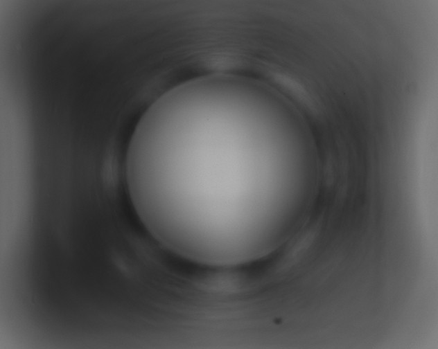 X0000100780210200807031238