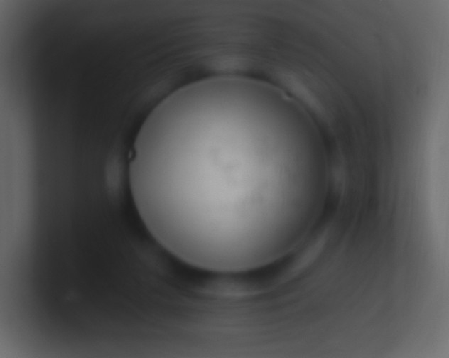 X0000100780211200807031238