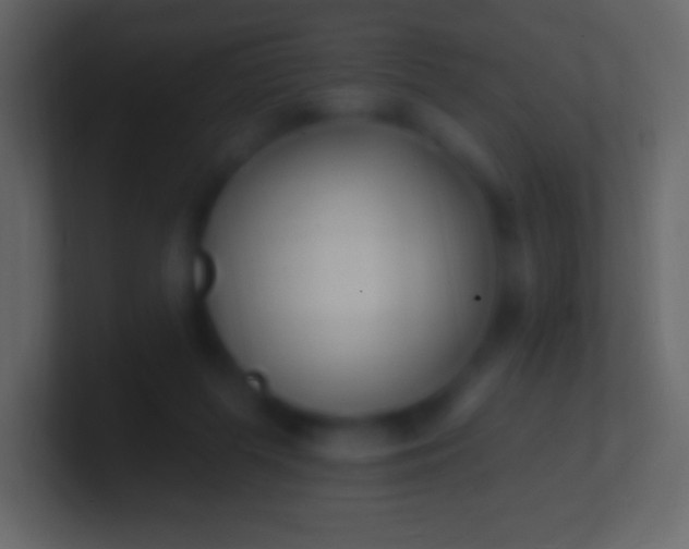 X0000100780215200807031238