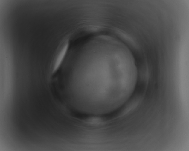 X0000100780216200807031238