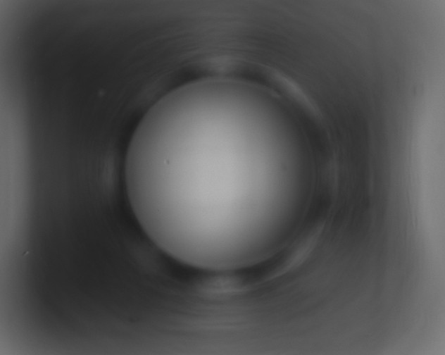 X0000100780217200807031238