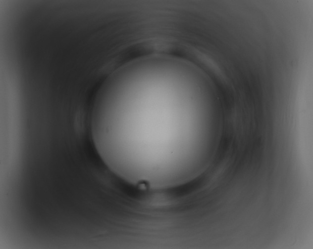 X0000100780218200807031238