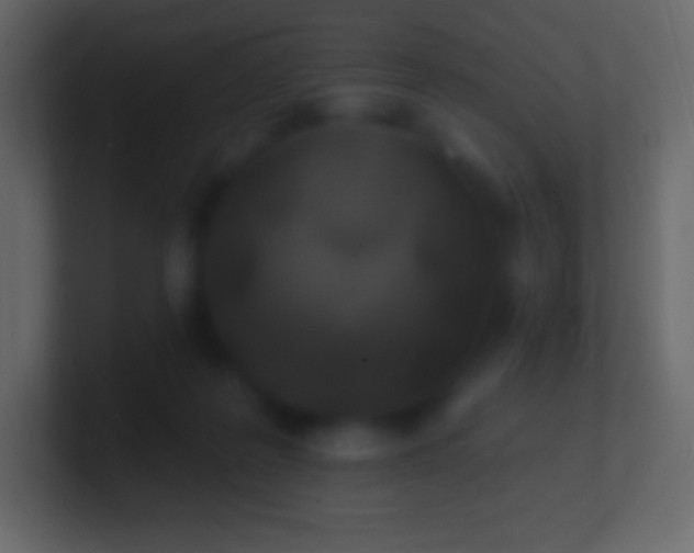 X0000100780219200807031238