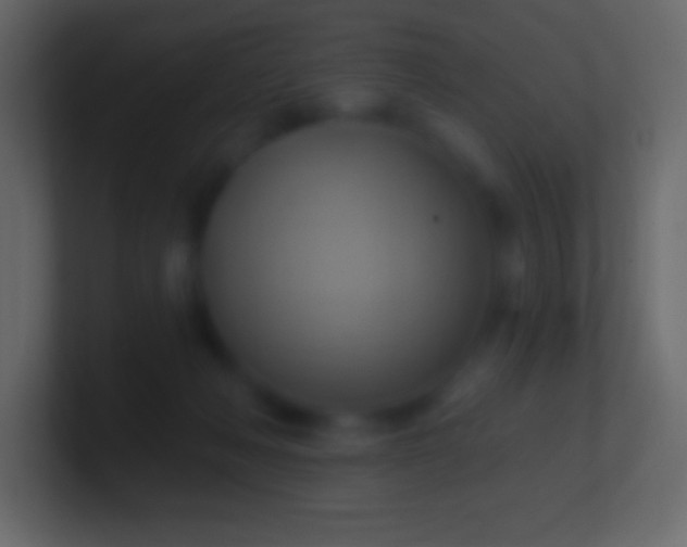 X0000100780222200807031238