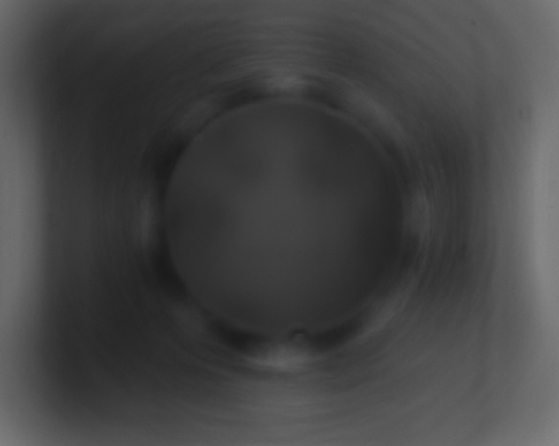 X0000100780223200807031238