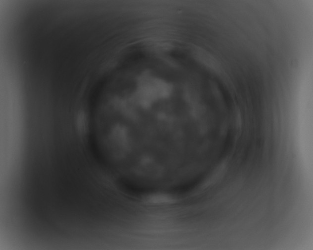 X0000100780224200807031238