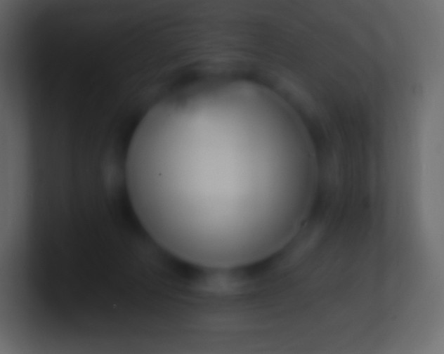 X0000100780226200807031238