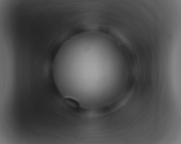 X0000100780229200807031238