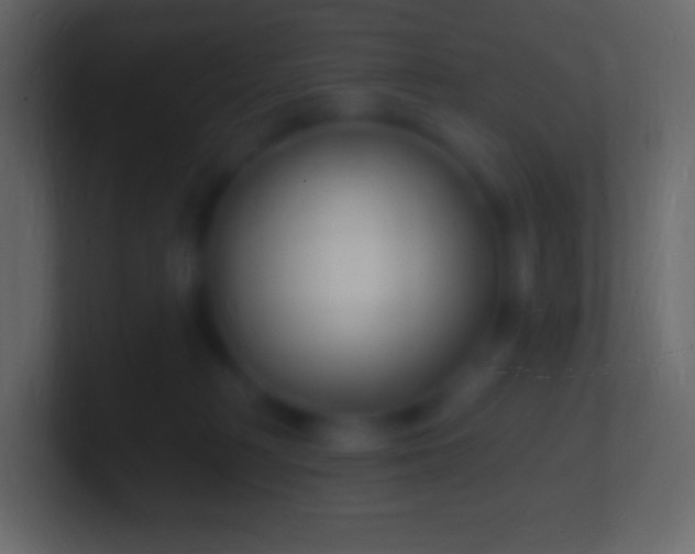 X0000100780230200807031238