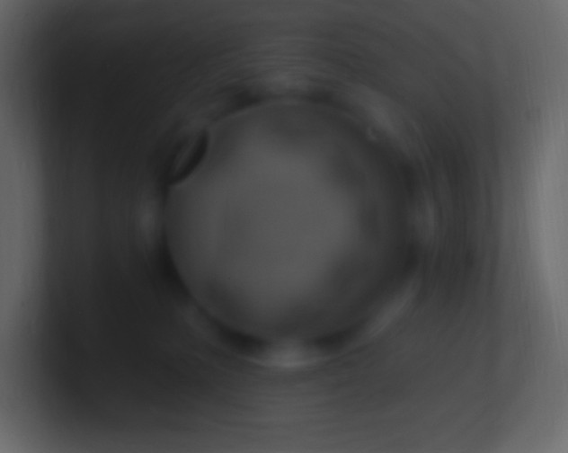 X0000100780231200807031238