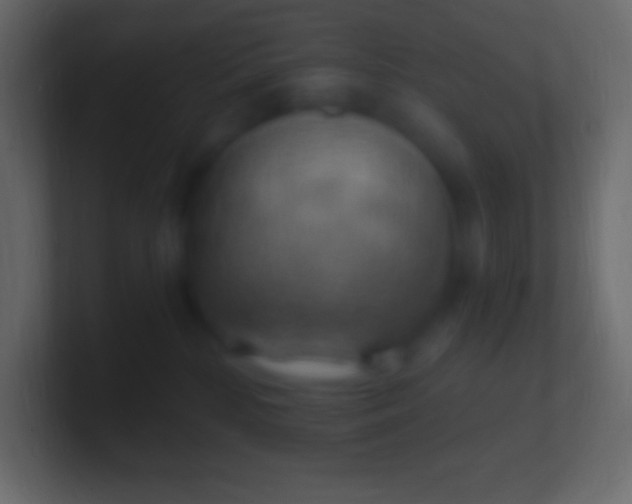 X0000100780232200807031238