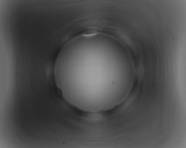 X0000100780233200807031238