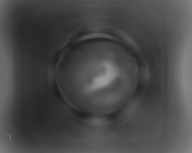 X0000100780236200807031238