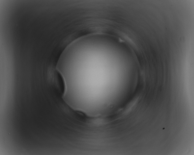 X0000100780237200807031238