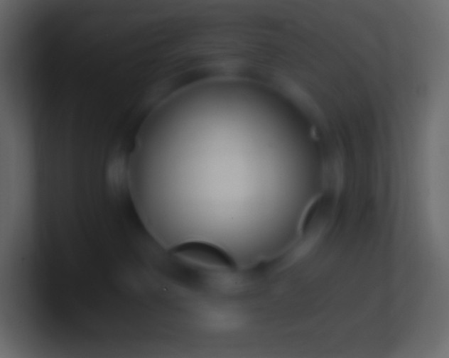 X0000100780238200807031238