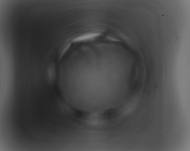 X0000100780240200807031238