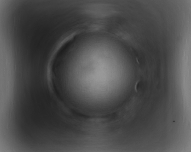 X0000100780242200807031237