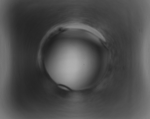 X0000100780244200807031237