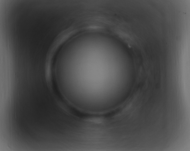 X0000100780247200807031237