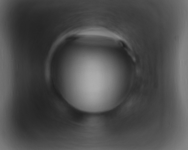 X0000100780248200807031237