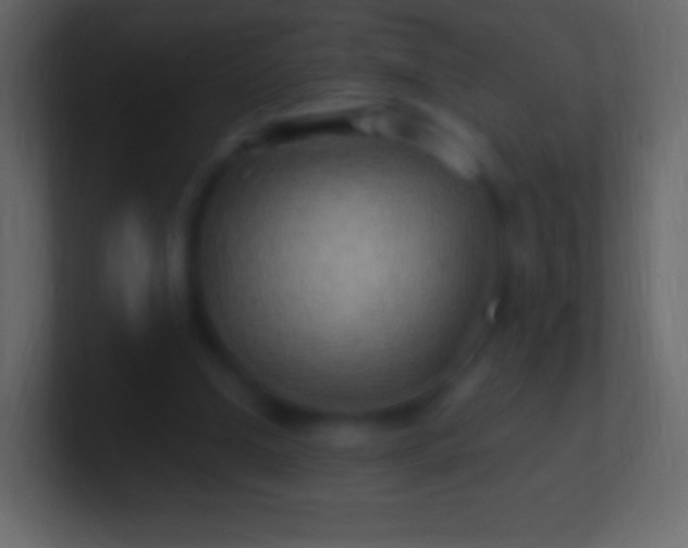 X0000100780250200807031237