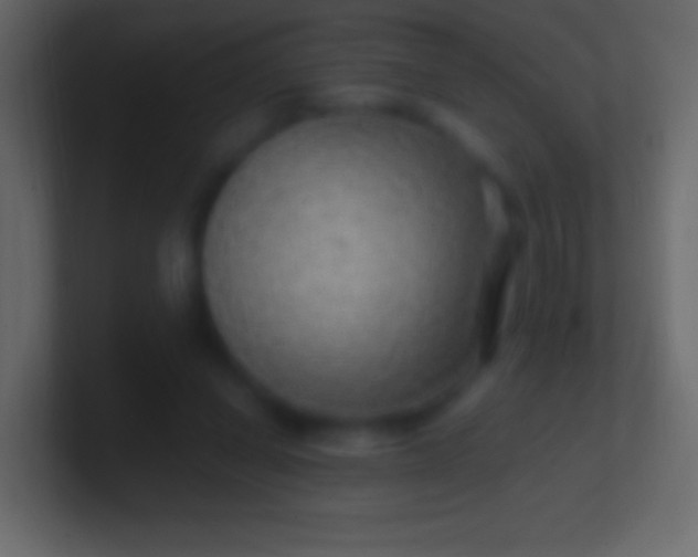 X0000100780254200807031237